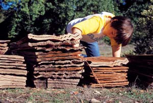 
David’s son, Pippin, in the middle of a building project.

